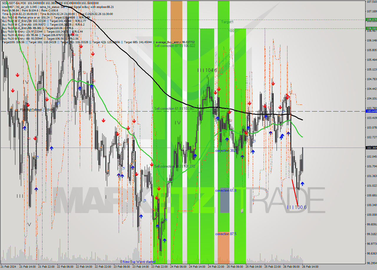 SOLUSDT-Bin M30 Analysis SOLUSDT-Bin M30 Signal