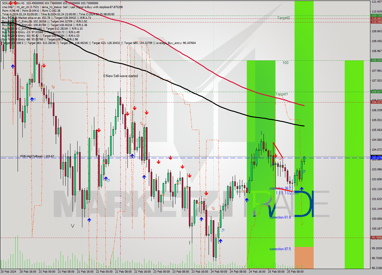 SOLUSDT-Bin MultiTimeframe analysis at date 2024.02.25 17:13
