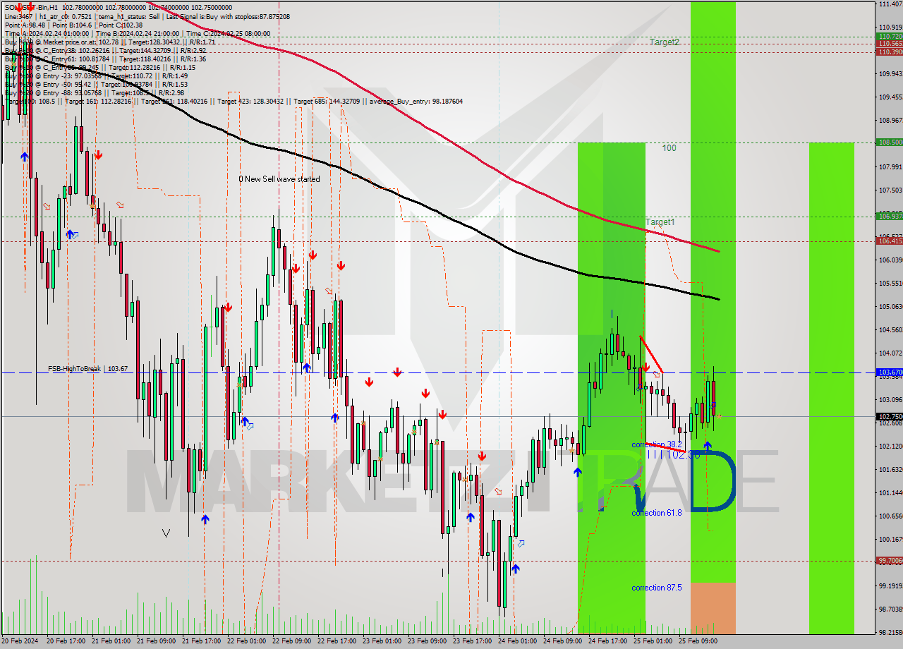 SOLUSDT-Bin MultiTimeframe analysis at date 2024.02.25 18:00