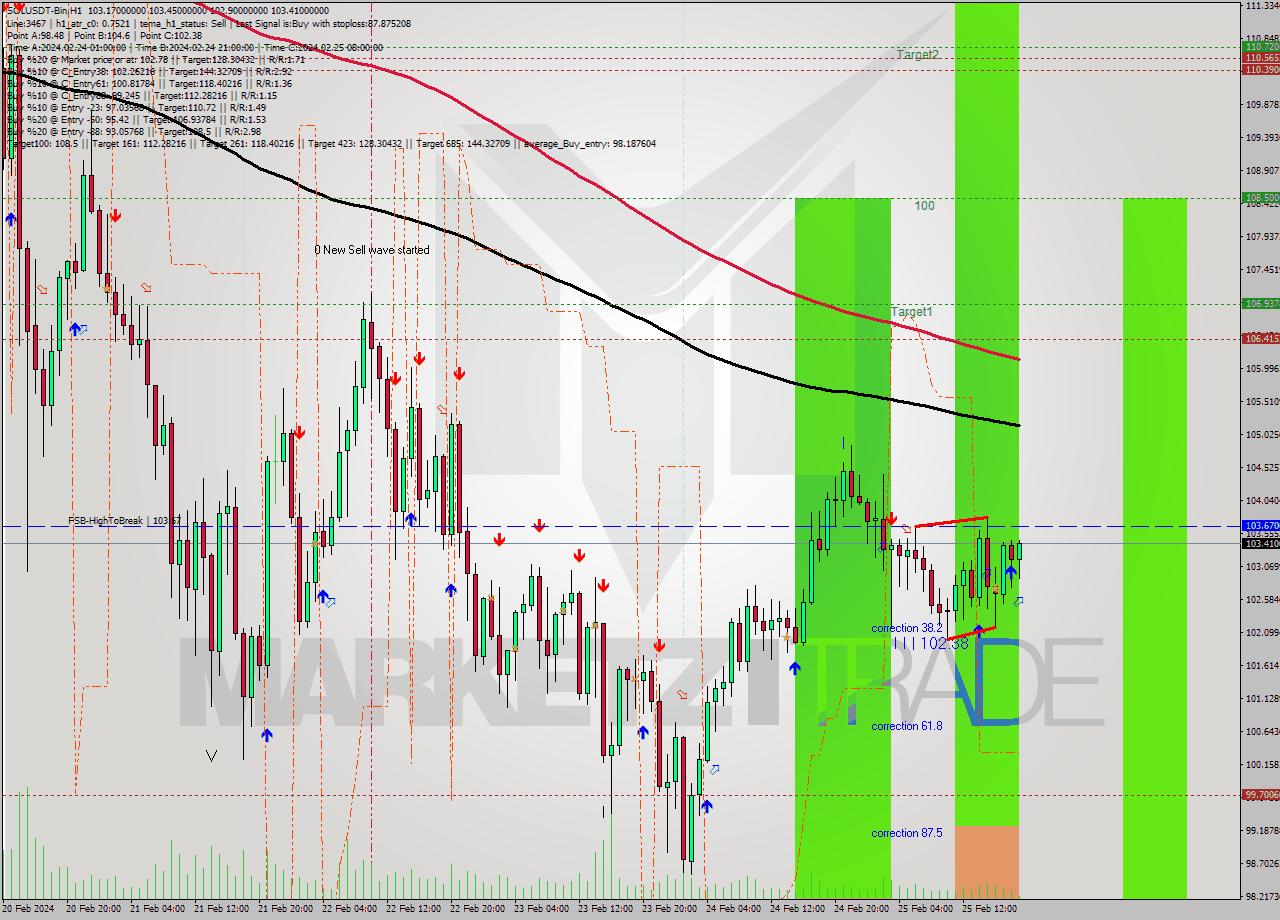 SOLUSDT-Bin MultiTimeframe analysis at date 2024.02.25 21:26