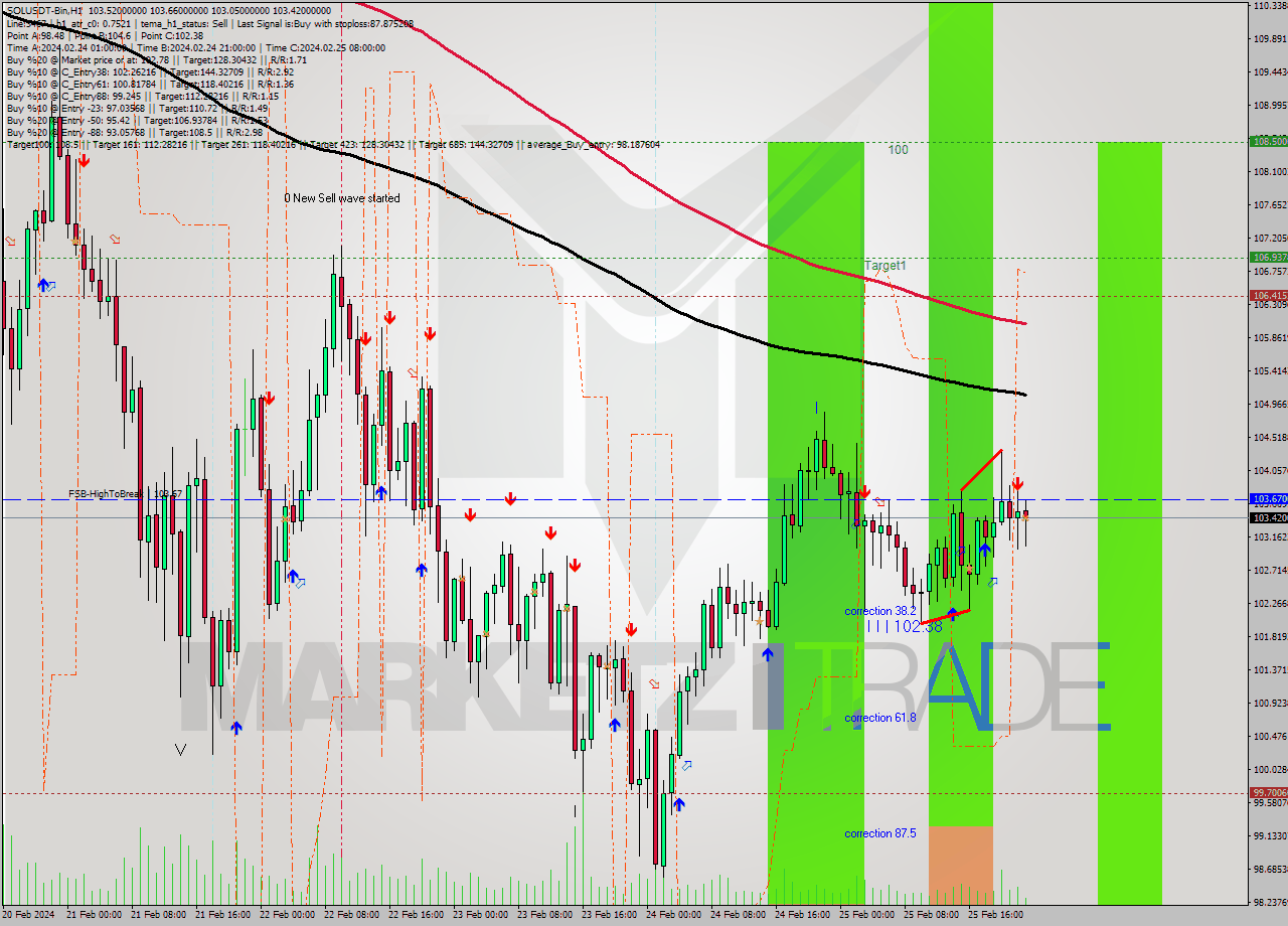 SOLUSDT-Bin MultiTimeframe analysis at date 2024.02.26 01:30