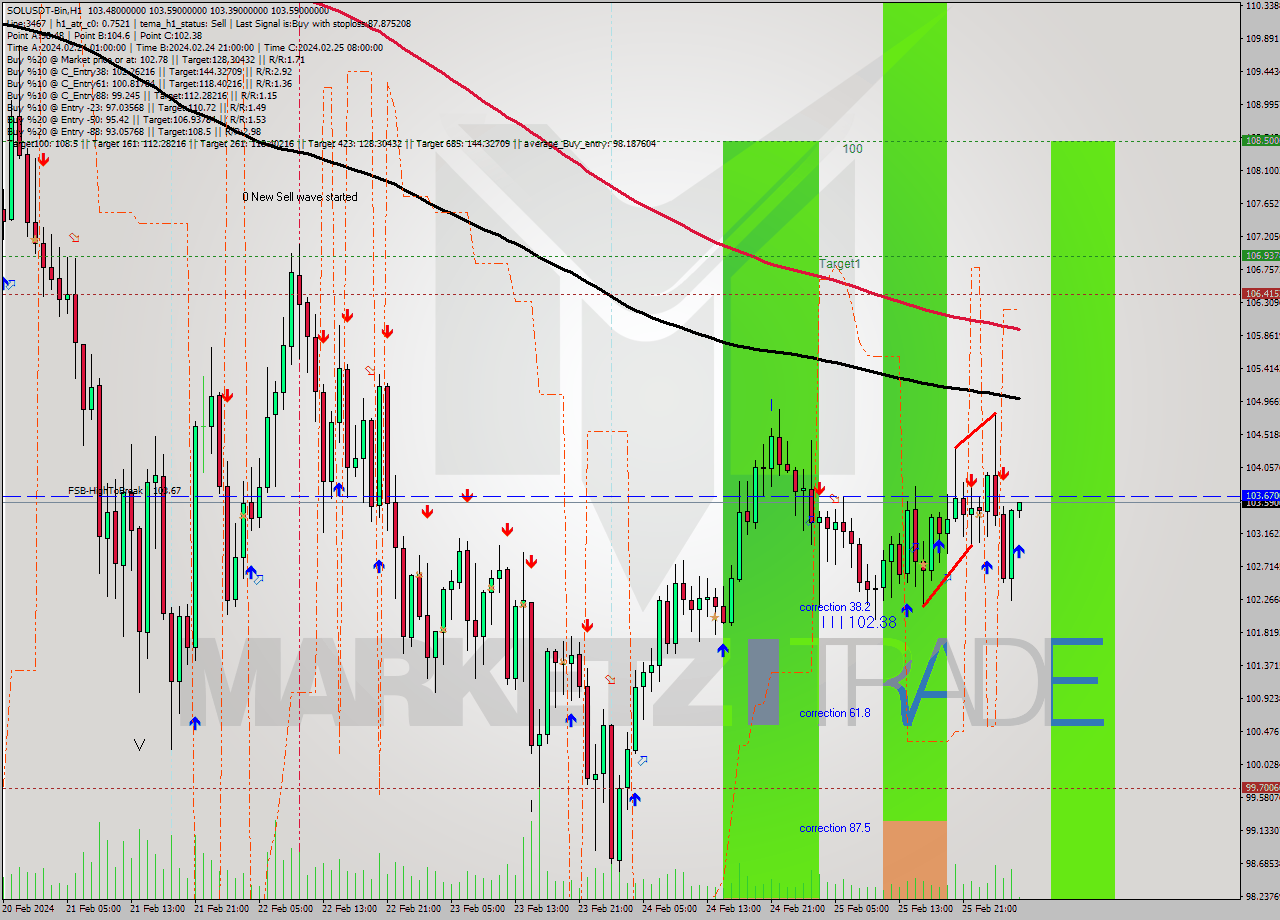 SOLUSDT-Bin MultiTimeframe analysis at date 2024.02.26 06:05