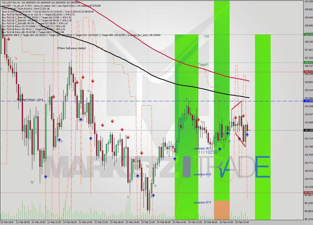 SOLUSDT-Bin MultiTimeframe analysis at date 2024.02.26 07:00