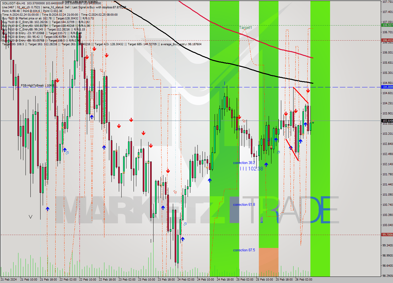 SOLUSDT-Bin MultiTimeframe analysis at date 2024.02.26 11:02