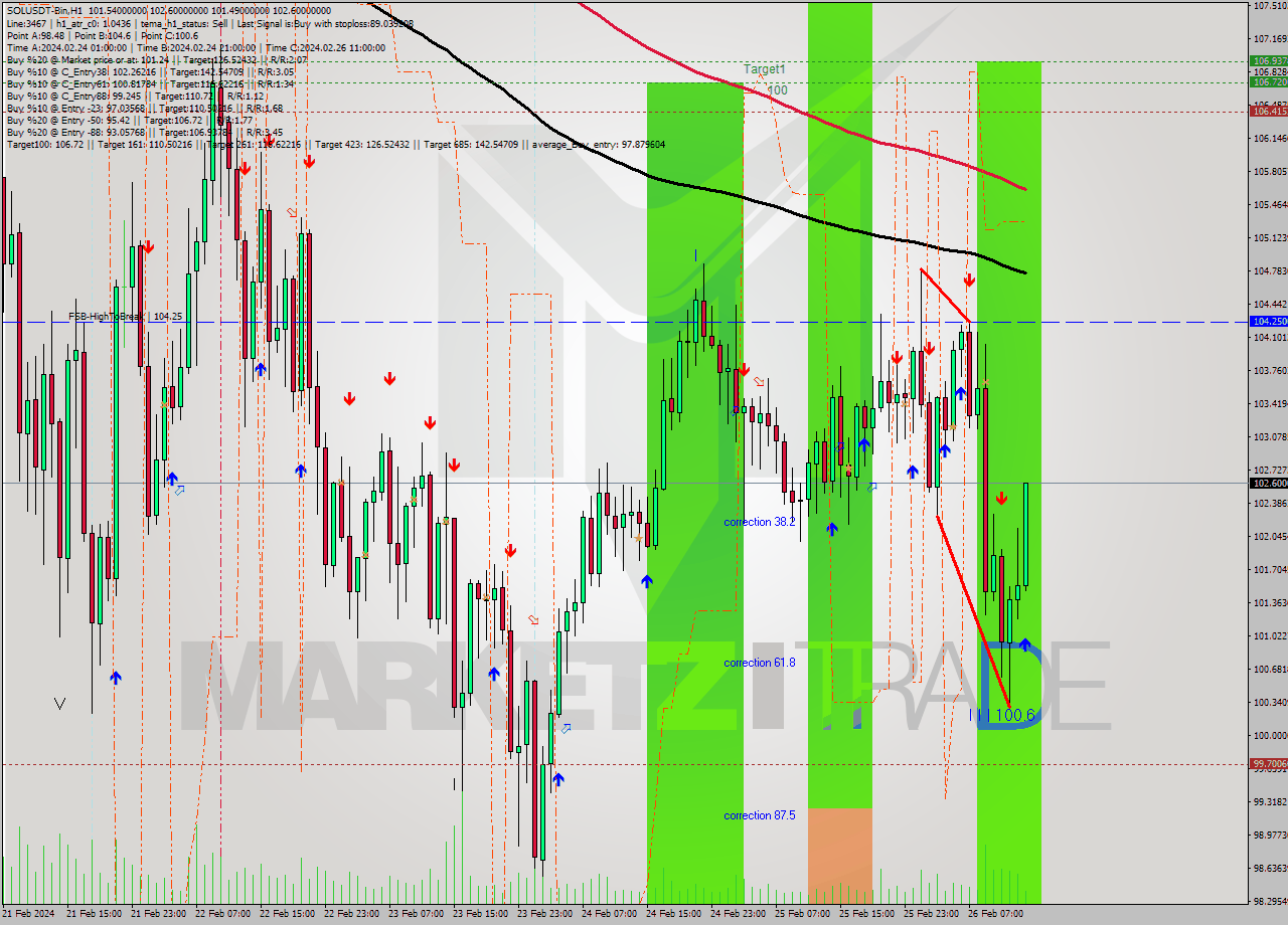 SOLUSDT-Bin MultiTimeframe analysis at date 2024.02.26 16:20