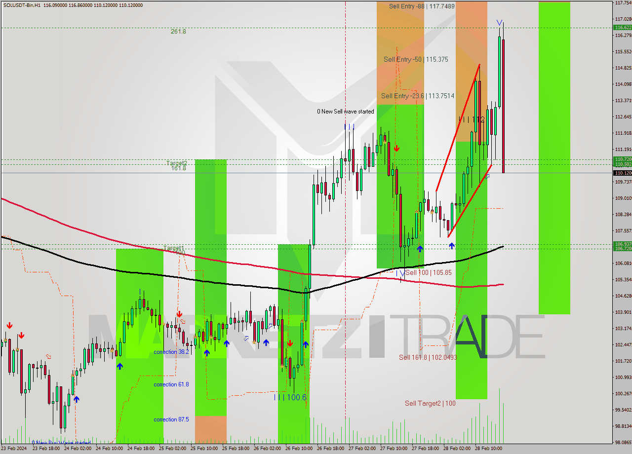SOLUSDT-Bin MultiTimeframe analysis at date 2024.02.28 19:31
