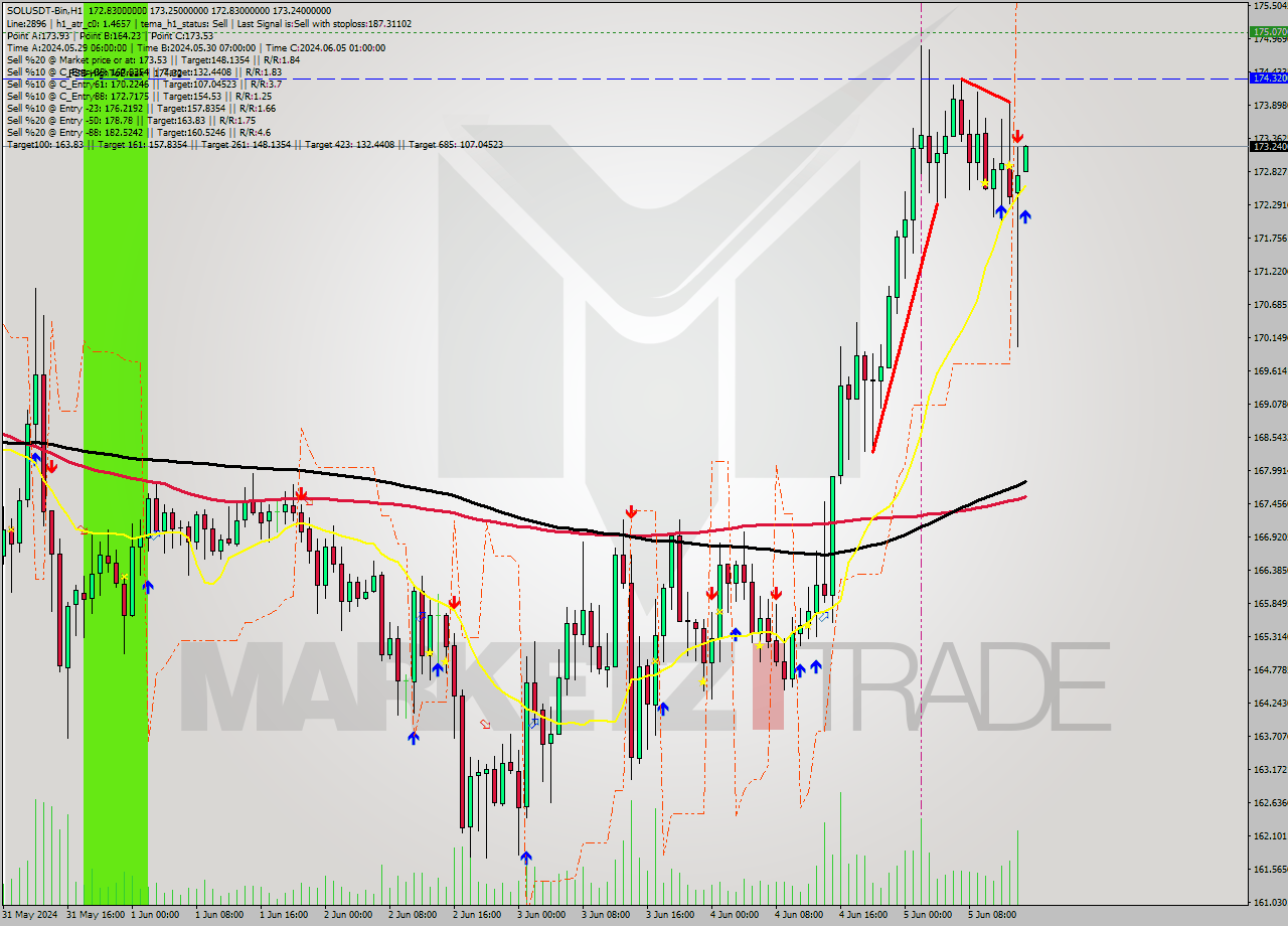 SOLUSDT-Bin MultiTimeframe analysis at date 2024.06.05 18:01