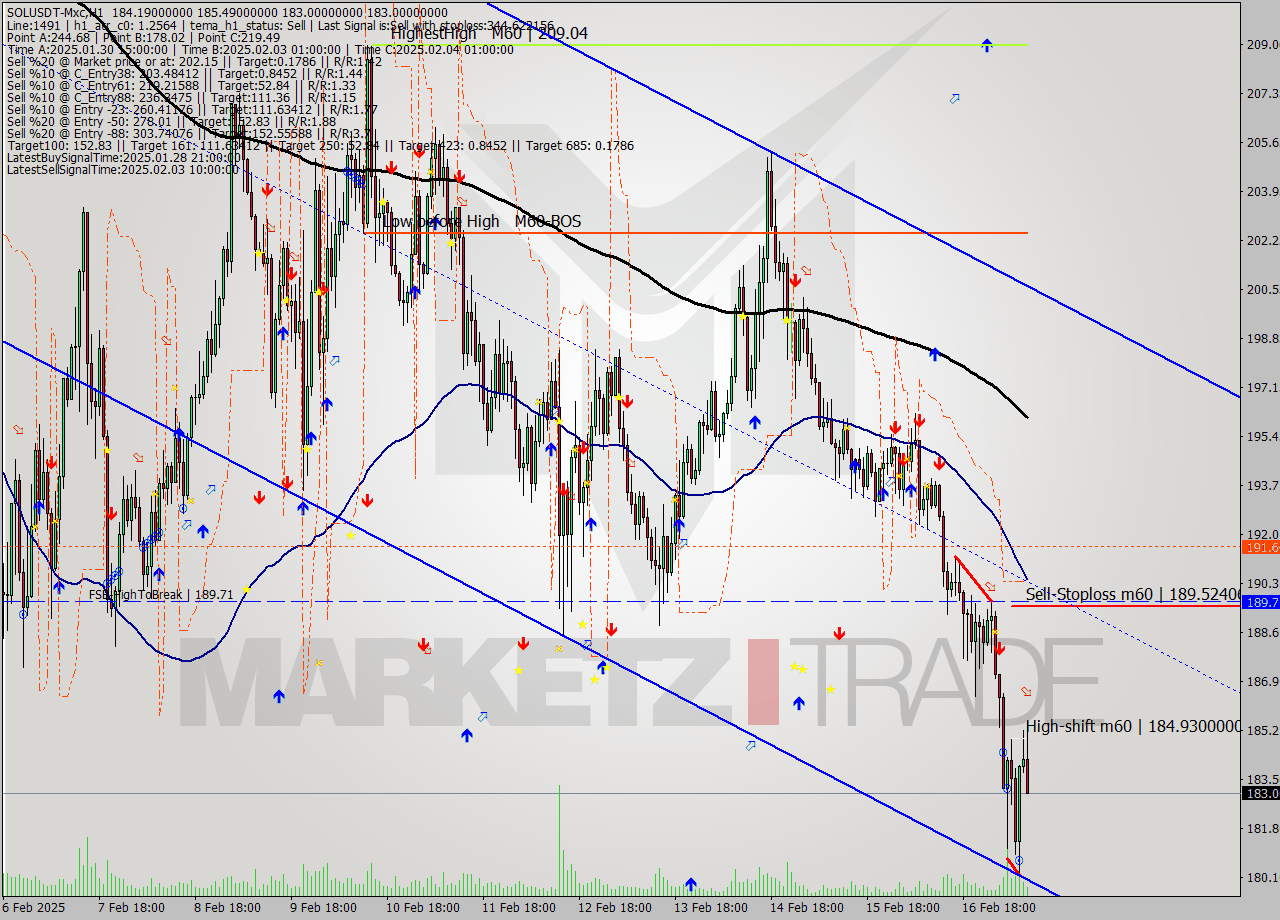 SOLUSDT-Mxc MultiTimeframe analysis at date 2025.02.17 12:46