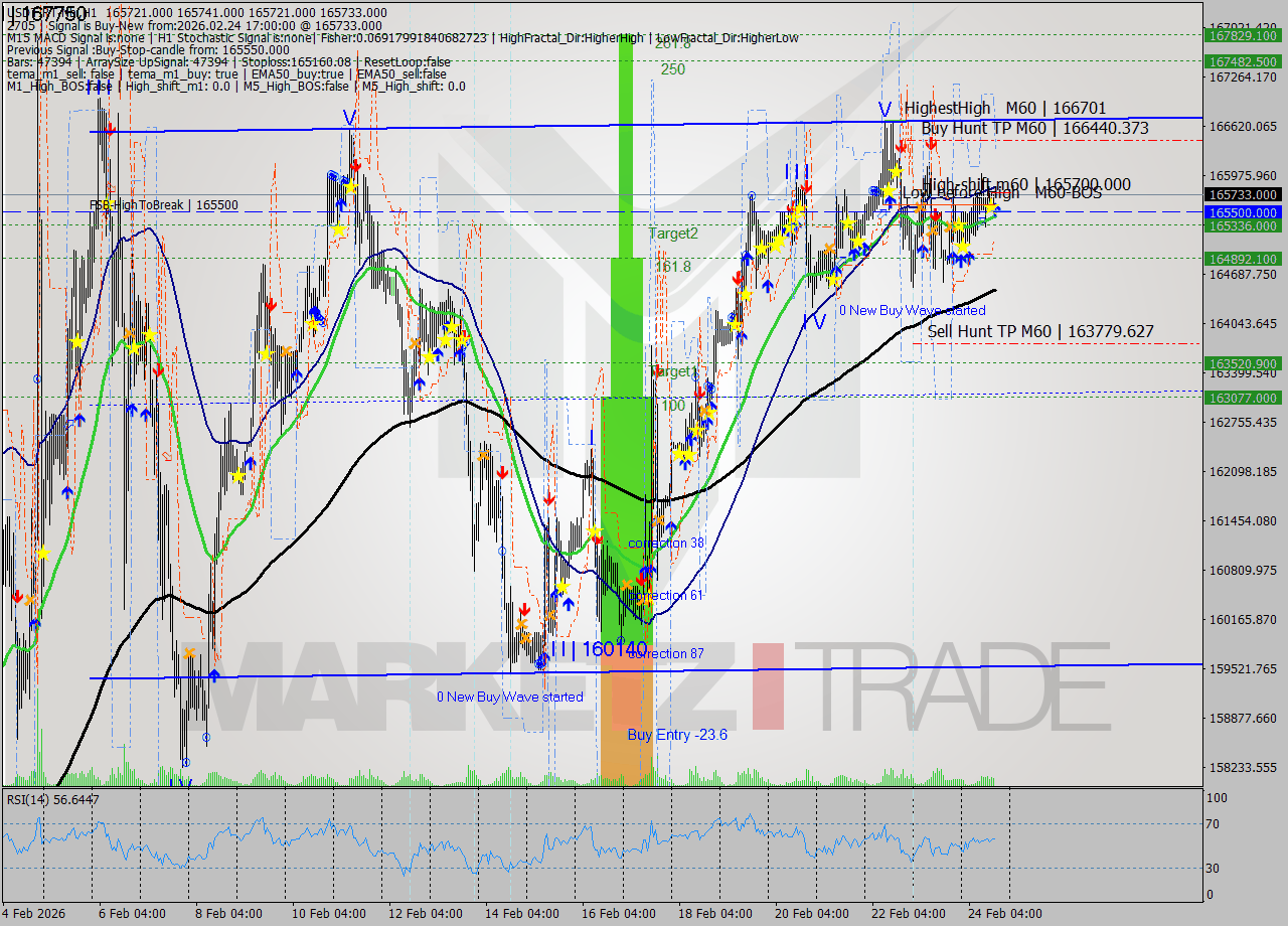 USDTIRT-Nbi MTF analysis at 2026.02.24 15:33