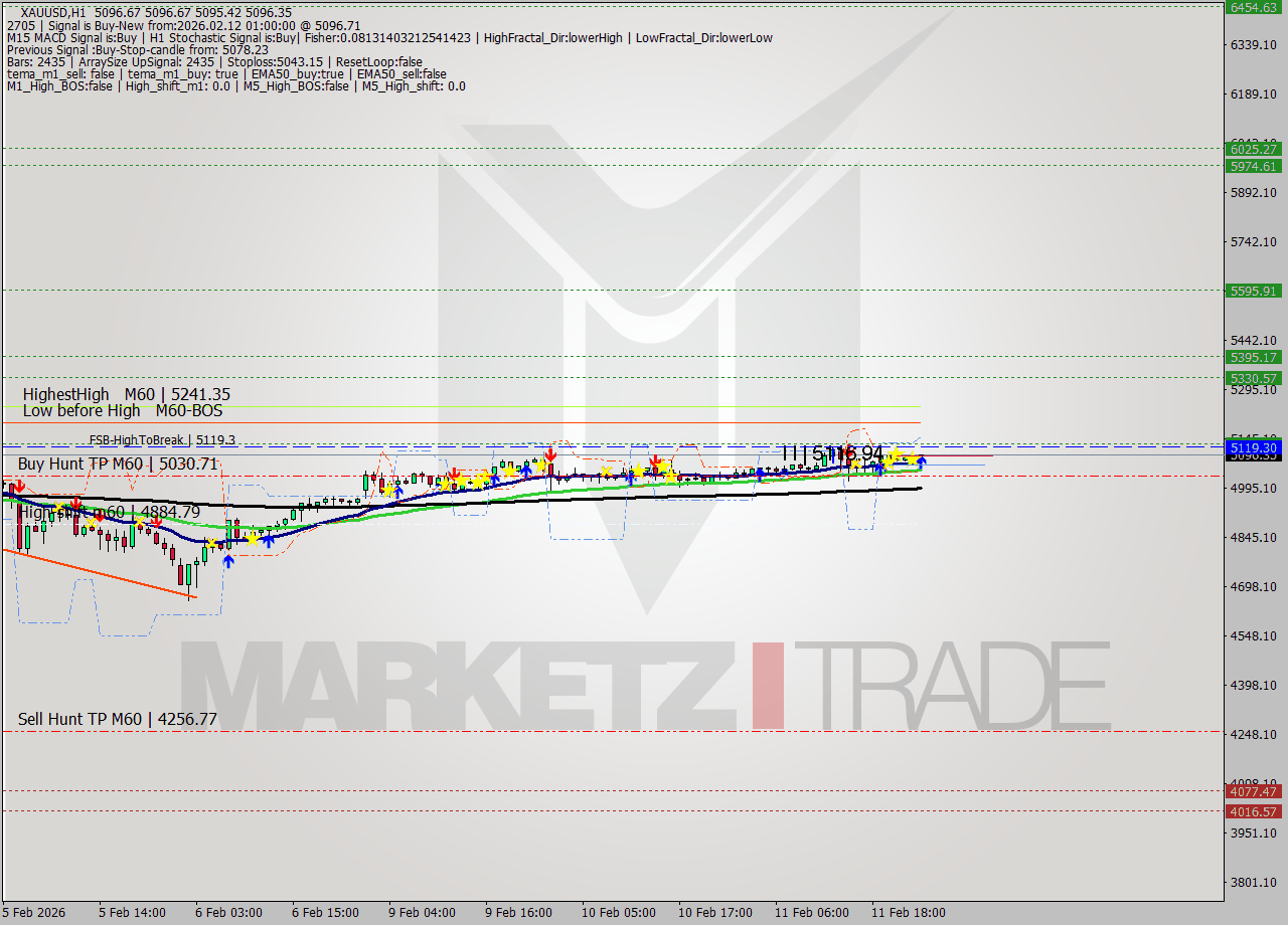 XAUUSD MTF analysis at 2026.02.12 01:11