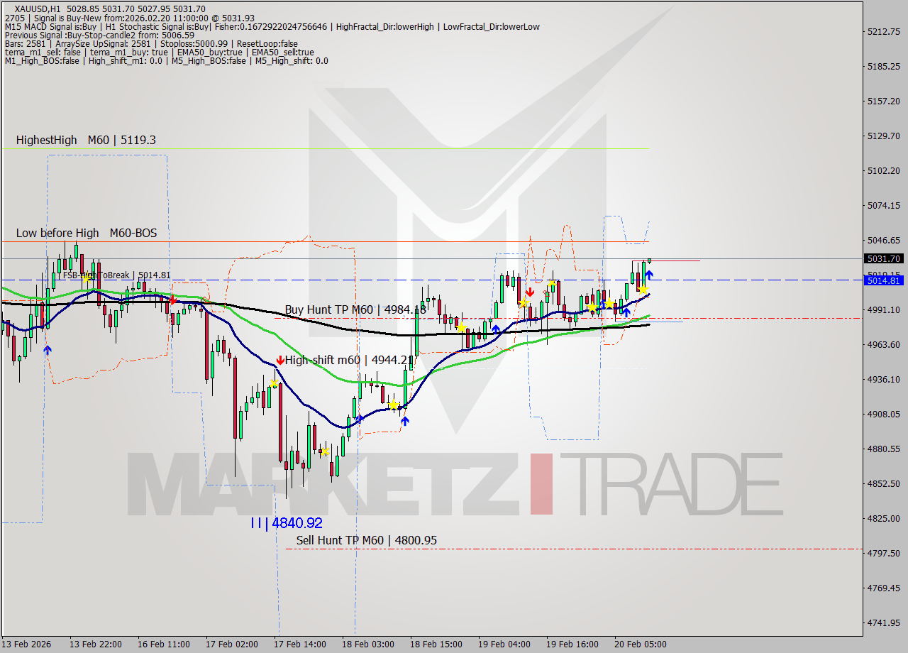XAUUSD MTF analysis at 2026.02.20 11:03