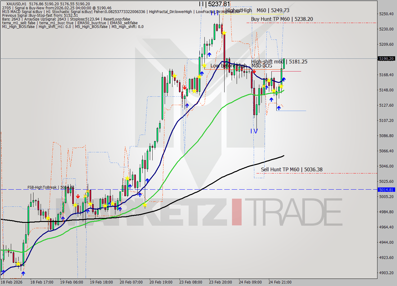 XAUUSD MTF analysis at 2026.02.25 04:15