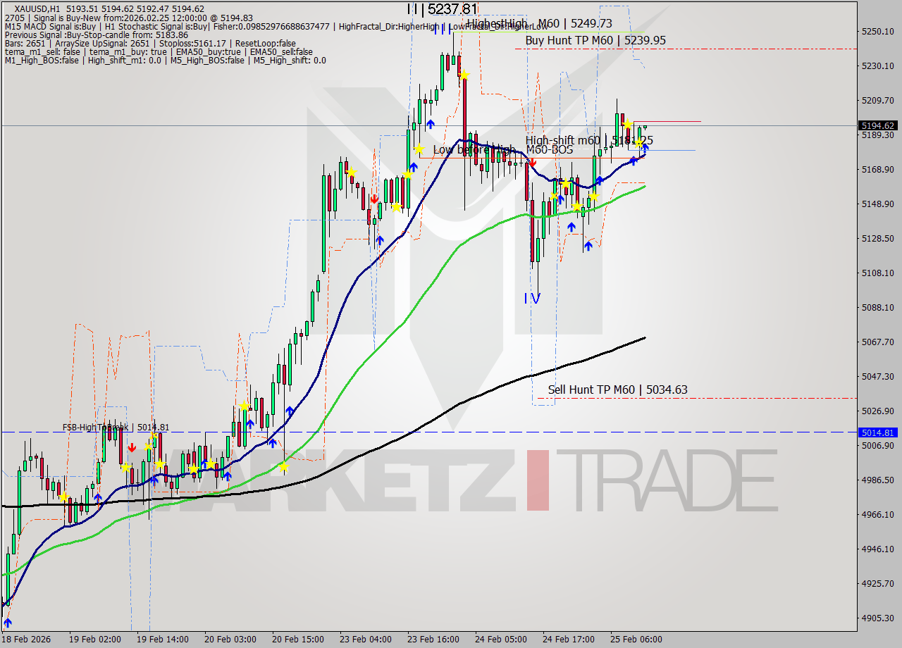 XAUUSD MTF analysis at 2026.02.25 12:20