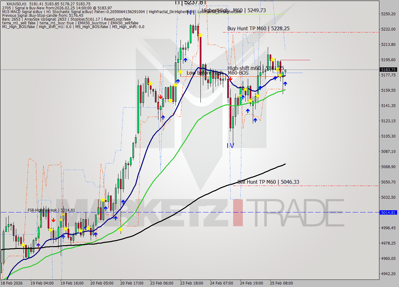 XAUUSD MTF analysis at 2026.02.25 14:16