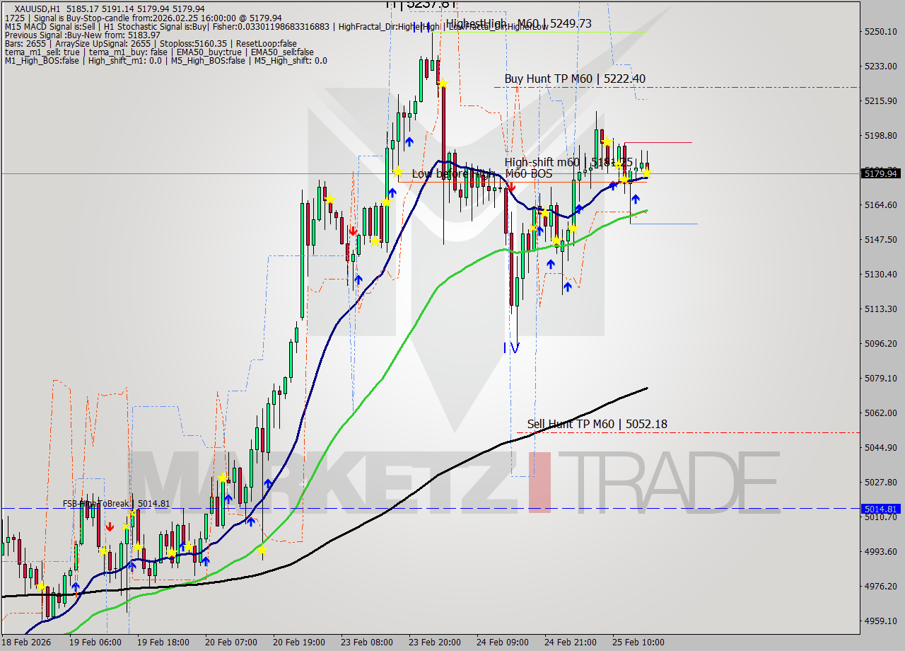 XAUUSD MTF analysis at 2026.02.25 16:23