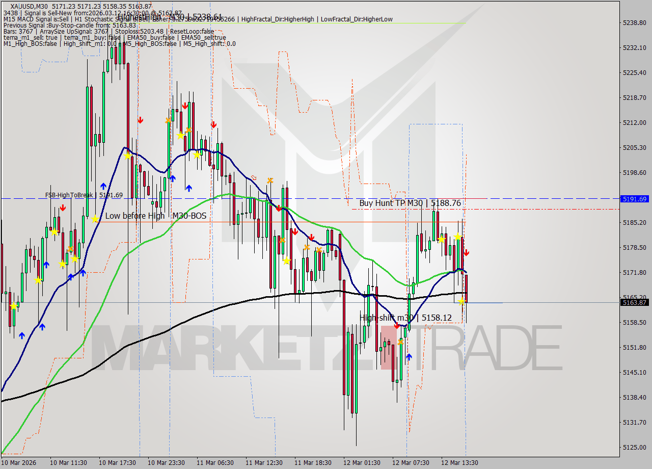 XAUUSD M30 Signal