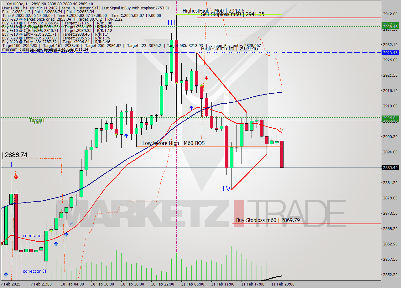 XAUUSDe MultiTimeframe analysis at date 2025.02.12 02:52