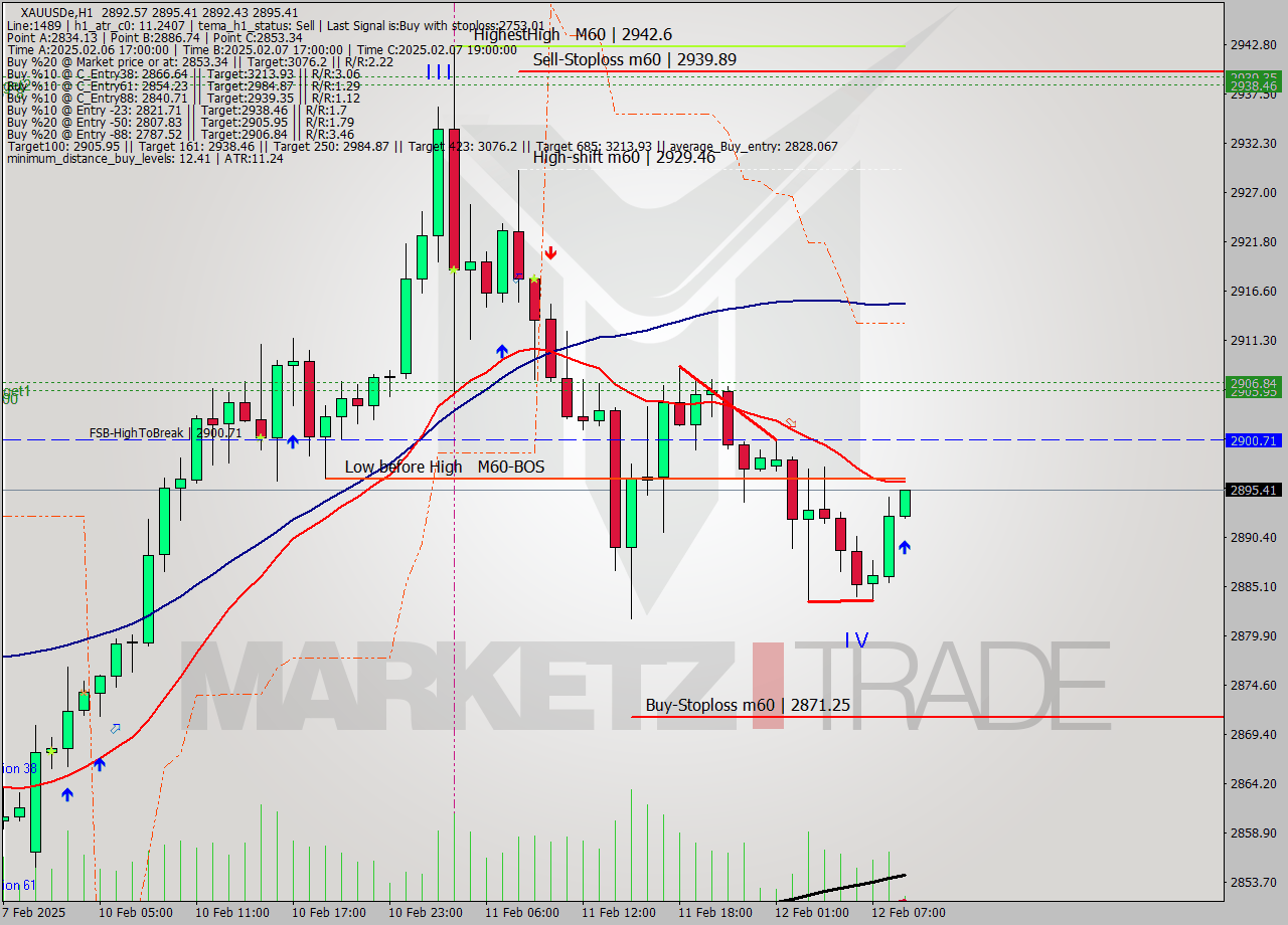 XAUUSDe MultiTimeframe analysis at date 2025.02.12 09:07