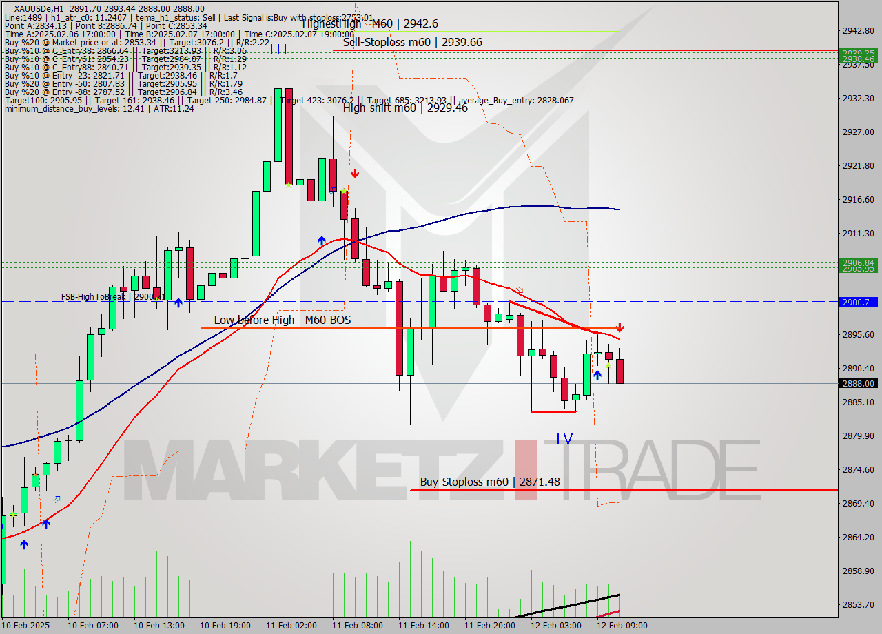 XAUUSDe MultiTimeframe analysis at date 2025.02.12 11:48