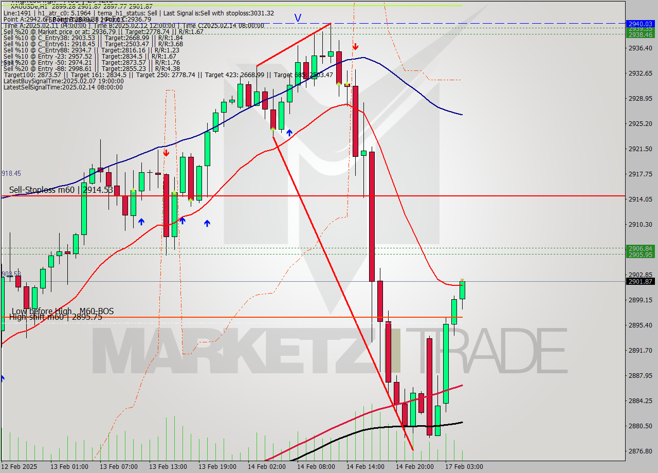XAUUSDe MultiTimeframe analysis at date 2025.02.17 05:30