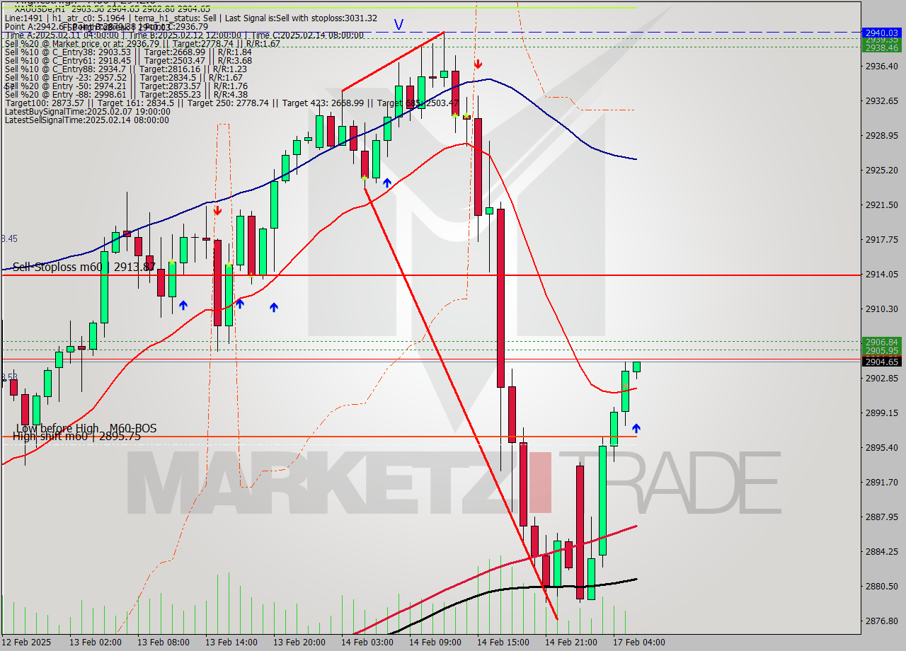 XAUUSDe MultiTimeframe analysis at date 2025.02.17 06:03