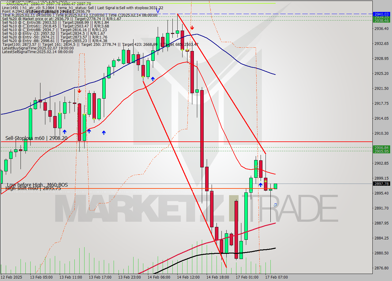 XAUUSDe MultiTimeframe analysis at date 2025.02.17 09:01