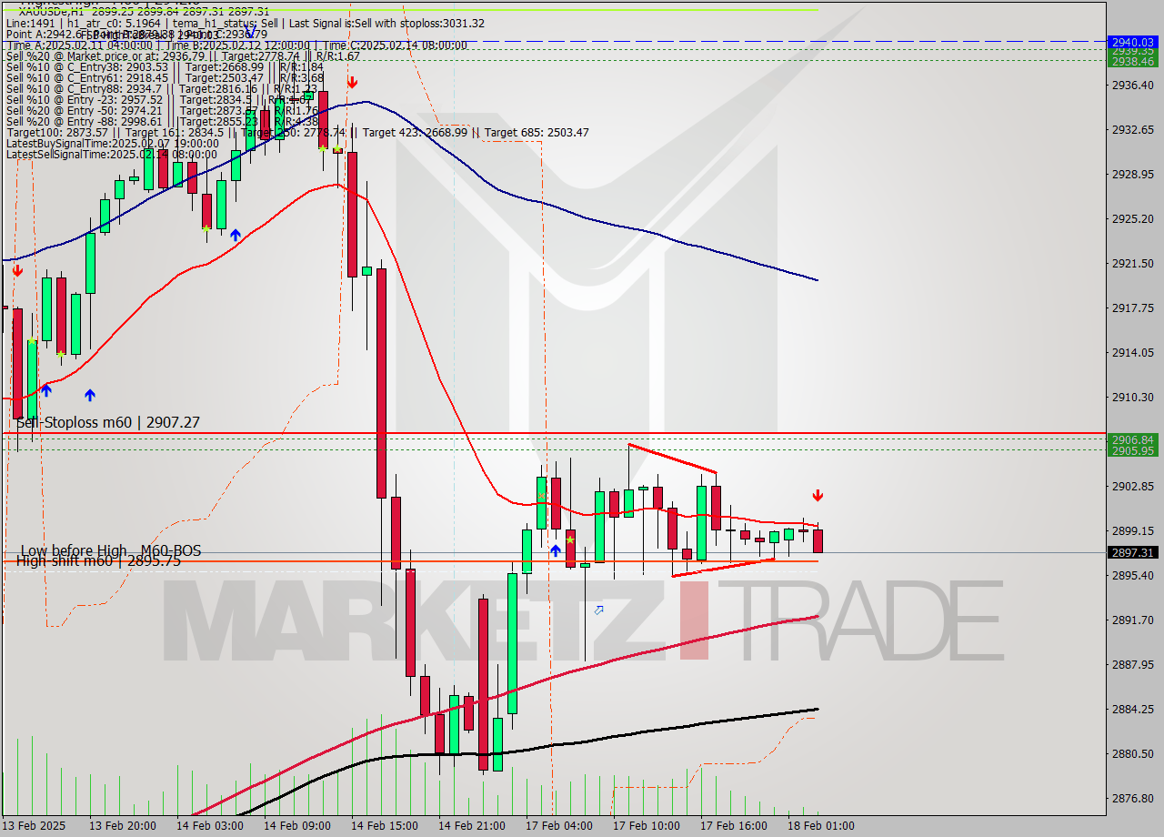 XAUUSDe MultiTimeframe analysis at date 2025.02.18 03:05