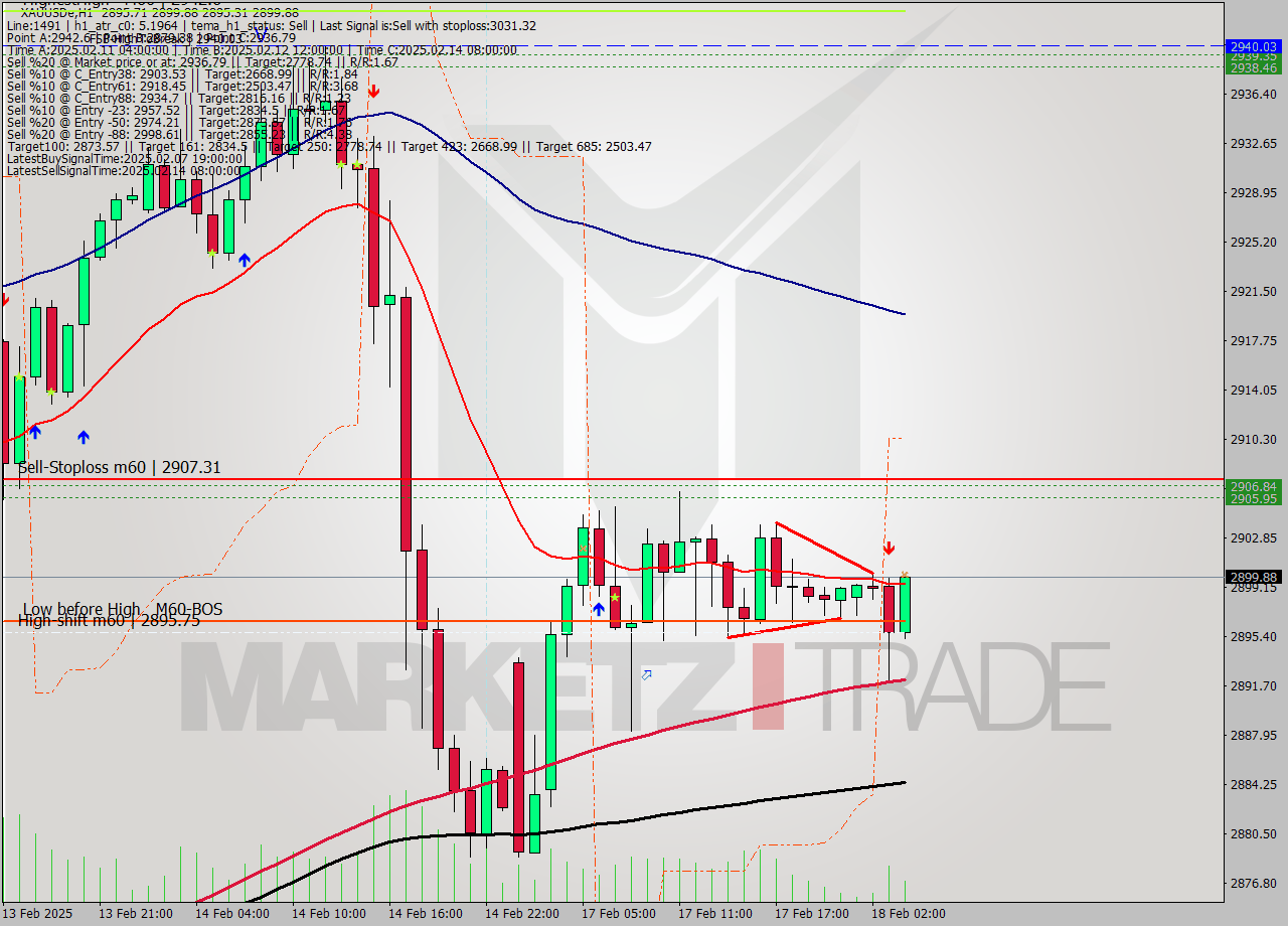 XAUUSDe MultiTimeframe analysis at date 2025.02.18 04:39