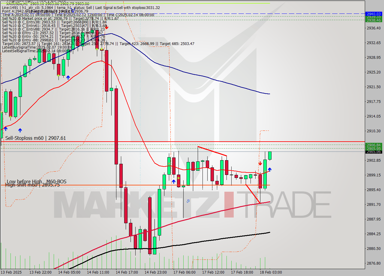 XAUUSDe MultiTimeframe analysis at date 2025.02.18 05:02