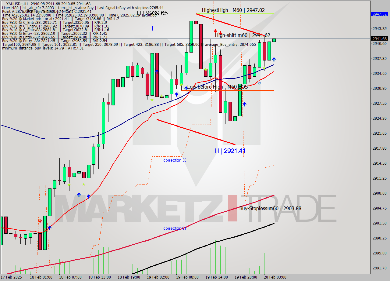 XAUUSDe MultiTimeframe analysis at date 2025.02.20 05:00