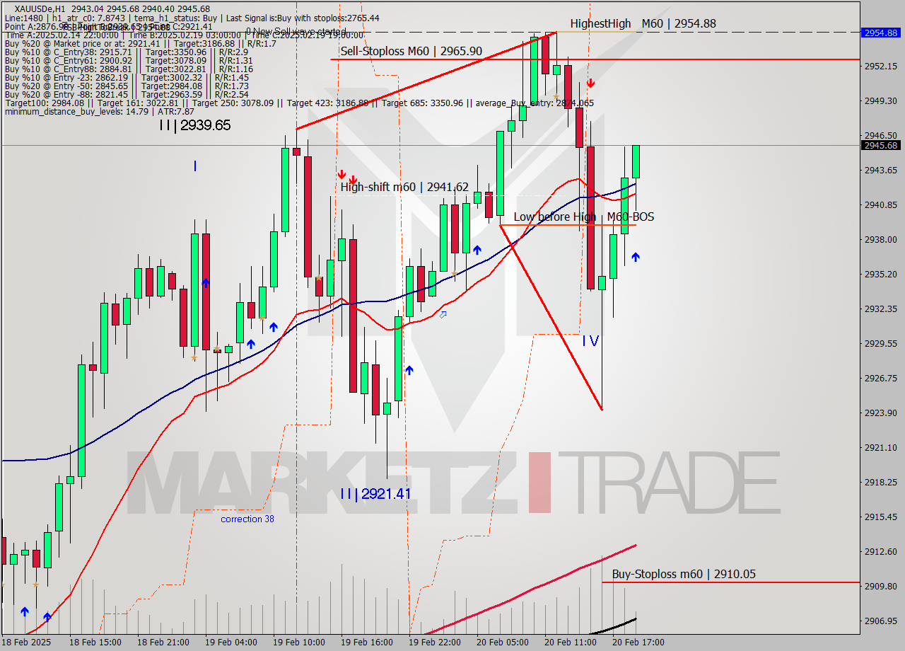 XAUUSDe MultiTimeframe analysis at date 2025.02.20 19:43