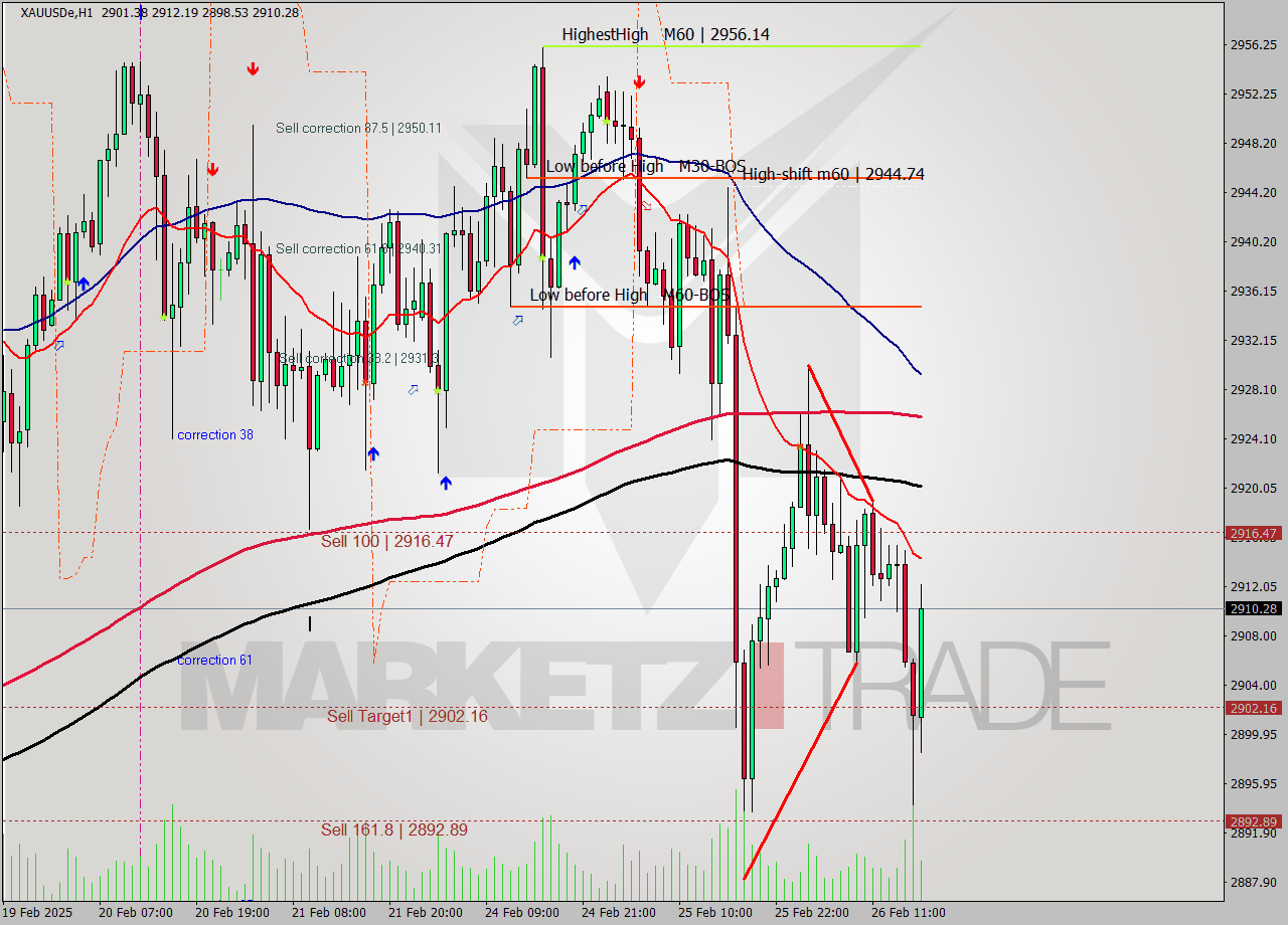 XAUUSDe MultiTimeframe analysis at date 2025.02.26 02:13