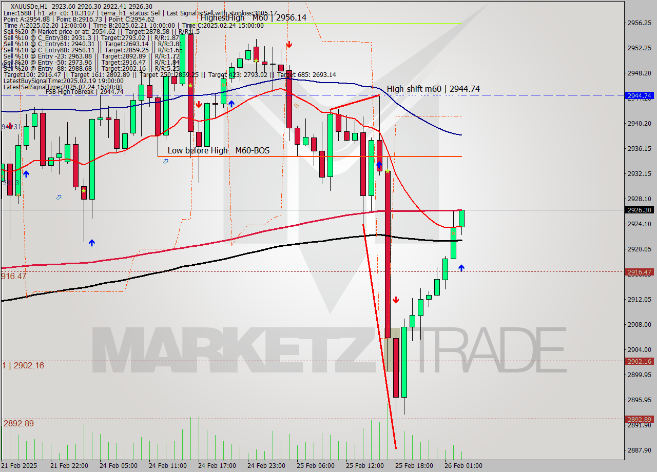 XAUUSDe MultiTimeframe analysis at date 2025.02.26 03:16