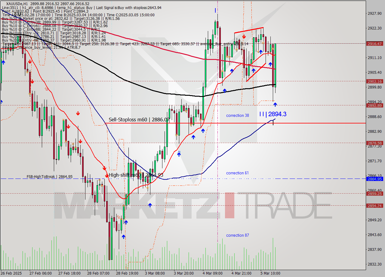 XAUUSDe MTf analysis at 2025.03.05 16:41